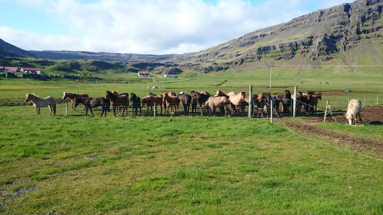 Borgarhöfn Laekjarhus Farm Holidays المظهر الخارجي الصورة