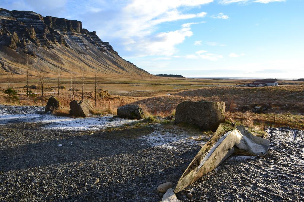 Borgarhöfn Laekjarhus Farm Holidays المظهر الخارجي الصورة