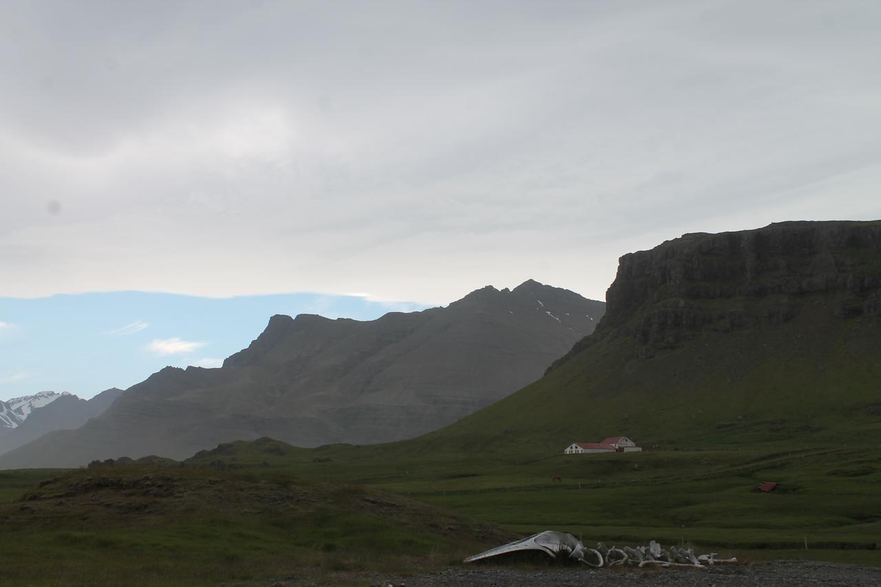 Borgarhöfn Laekjarhus Farm Holidays المظهر الخارجي الصورة